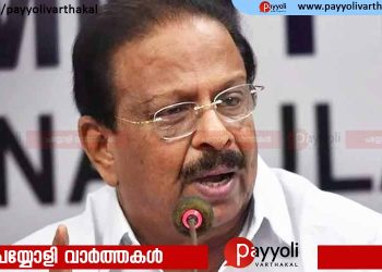 മുഖ്യമന്ത്രി പിണറായി വിജയന്‍ ബിജെപിയുടെ ഏറ്റവും വിശ്വസ്ത ഭൃത്യനെന്ന് കെപിസിസി പ്രസിഡന്‍റ് കെ സുധാകരന്‍