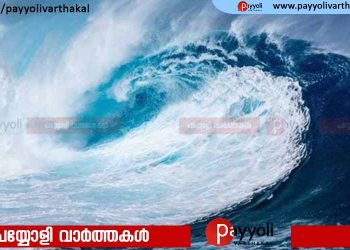 സോളമൻ ദ്വീപിൽ ശക്തമായ ഭൂചലനം; സുനാമി മുന്നറിയിപ്പ്