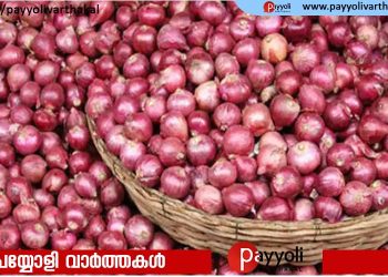 കുതിച്ചുയര്‍ന്ന് ഉള്ളിവില ;കിലോയ്ക്ക് ഇന്ത്യന്‍ രൂപ മൂവായിരത്തിന് മുകളില്‍