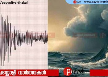 ഇന്തോനേഷ്യയിലെ സുമാത്രയിൽ വൻ ഭൂചലനം; സുനാമി മുന്നറിയിപ്പ്