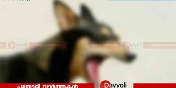 കാപ്പാട് ബീച്ചിലെ കുതിരയ്ക്ക് പേവിഷബാധയെന്ന് സംശയം
