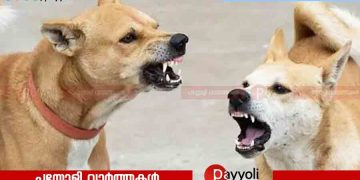 സംസ്ഥാനത്ത് നാല് വര്‍ഷത്തിനിടെ തെരുവുനായ ആക്രമണത്തിൽ പേവിഷബാധയേറ്റ് മരിച്ചത് 47 പേര്‍