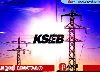 സ്വകാര്യ പങ്കാളിത്തത്തോടെ വൈദ്യുത പദ്ധതികൾ നടപ്പാക്കാനുള്ള ശ്രമം ആരംഭിച്ച് കെഎസ്ഇബി
