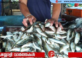 മീൻ വില കുതിച്ചുയരുന്നു; കടലില്‍ അന്തരീക്ഷോഷ്മാവ് ഉയരുന്നതും  തമിഴ്നാട്ടില്‍ ട്രോളിംഗ് നിരോധനവുമാണ് കാരണമെന്ന് വിദഗ്ദർ