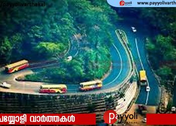 താമരശേരി ചുരത്തിൽ അപകടാവസ്ഥയിലുള്ള മരം മുറിച്ചു മാറ്റുന്നു; ​ഗതാ​ഗതം തടസപ്പെടാൻ സാധ്യത