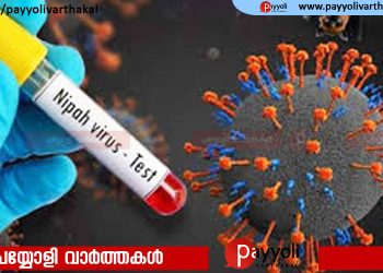 മലപ്പുറത്തെ 18കാരിയുടെ മരണം നിപ ബാധിച്ചെന്ന് സ്ഥിരീകരണം; പൂനെ വൈറോളജി ലാബില്‍ നിന്നുള്ള ഫലം പോസിറ്റീവ്