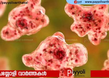 സംസ്ഥാനത്ത് വീണ്ടും അമീബിക് മസ്തിഷ്ക ജ്വരം സ്ഥിരീകരിച്ചു