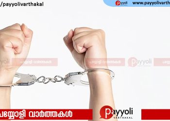 സുഹൃത്തിന്റെ വീട്ടില്‍ നിന്ന് 11 പവന്‍ കവര്‍ന്നു; അഭിഭാഷക പിടിയിൽ
