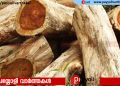 മുട്ടിൽ മരംമുറി കേസ്; കർഷകർക്ക് നോട്ടീസ് അയച്ച് റവന്യൂ വകുപ്പ്