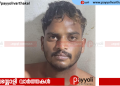 കത്തിക്കുത്തും മോഷണവും തുടങ്ങി നിരവധി കേസുകളിൽ പ്രതി: കടം വാങ്ങിയ പണം തിരിച്ചു ചോദിച്ച യുവാവിനെയും കുത്തിപ്പരിക്കേൽപ്പിച്ചു, ഒടുവിൽ പോലീസിന്റെ പിടിയിലായി
