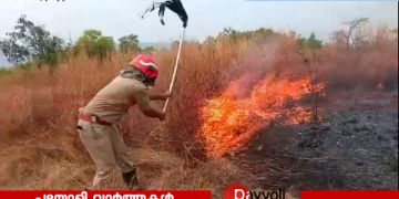 തണ്ണീർ മലയിൽ വൻ അഗ്നിബാധ: ഇരുപത് ഏക്കറോളം സ്ഥലത്ത് തീപ്പടർന്നു