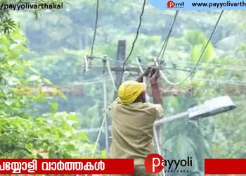 ലോഡ് ഷെഡിങ് പ്രതിഷേധം: ജീവന് സുരക്ഷ തേടി കെഎസ്ഇബി ഉദ്യോഗസ്ഥർ പൊലീസിനെ സമീപിച്ചു