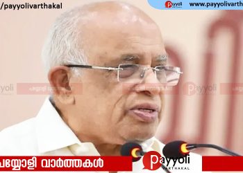 സംസ്ഥാനത്തെ വൈദ്യുതി പ്രതിസന്ധിക്ക് പരിഹാരം: കേന്ദ്രവിഹിതം ഉറപ്പാക്കി, കഴിഞ്ഞ ദിവസങ്ങളിലുണ്ടായത് ട്രിപ്പിങ് മാത്രമെന്ന് മന്ത്രി കെ. കൃഷ്ണൻകുട്ടി