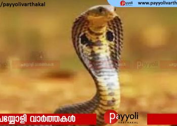 പാമ്പുകടിയേറ്റുള്ള മരണങ്ങള്‍ വർദ്ധിക്കുന്നു; കര്‍മ്മ പദ്ധതി ആവിഷ്‌കരിച്ച് വനംവകുപ്പ്