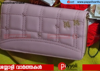 അയനിക്കാട് – ഇരിങ്ങത്ത് യാത്രയ്ക്കിടെ സ്വർണ്ണാഭരണവും പണവും രേഖകളുമടങ്ങിയ പേഴ്സ് നഷ്ടപ്പെട്ടതായി പരാതി