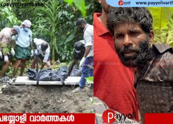 നെടുങ്കണ്ടത്ത് അമ്മയെയും മൂത്ത സഹോദരനെയും കൊന്ന് കുഴിച്ചുമൂടിയ കേസിൽ പ്രതിയായ സജി റിമാൻഡിൽ