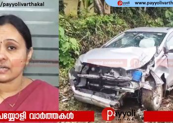 മുൻ മന്ത്രി വീണാ ജോർജും കുടുംബവും സഞ്ചരിച്ചിരുന്ന വാഹനം അപകടത്തിൽപ്പെട്ടു