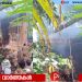 മന്തരത്തൂരിൽ തേങ്ങക്കൂടയ്ക്ക് തീപ്പിടിച്ചു: രണ്ടായിരത്തോളം തേങ്ങകൾ കത്തിനശിച്ചു