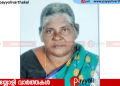 കോട്ടക്കൽ ചെത്തിൽ ഞെഴുക്കാട് താരേമ്മൽ നാരായണി അന്തരിച്ചു