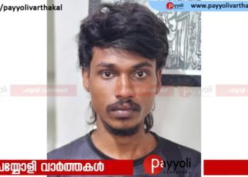 പ്രണയം നടിച്ചും ലഹരി നൽകിയും പീഡിപ്പിച്ച് ഗർഭിണിയാക്കി: പ്രായപൂർത്തിയാകാത്ത പെൺകുട്ടിയെ ബലാൽസംഗത്തിനിരയാക്കിയ യുവാവ് പിടിയിൽ