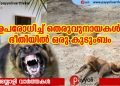 ഭീതിയുടെ നിഴലിൽ ഒരു കുടുംബം; തിക്കോടിയിൽ അമ്മയെയും മകളെയും വീടിന് പുറത്തിറങ്ങാൻ സമ്മതിക്കാതെ ഉപരോധം തീർത്ത് തെരുവ് നായക്കൂട്ടം