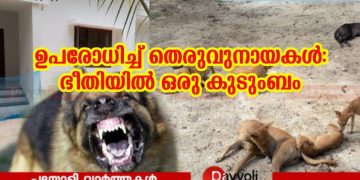 ഭീതിയുടെ നിഴലിൽ ഒരു കുടുംബം; തിക്കോടിയിൽ അമ്മയെയും മകളെയും വീടിന് പുറത്തിറങ്ങാൻ സമ്മതിക്കാതെ ഉപരോധം തീർത്ത് തെരുവ് നായക്കൂട്ടം