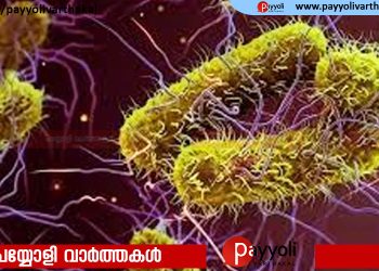 വീണ്ടും ഷിഗെല്ല; പയ്യോളിയില്‍ ഒമ്പതുവയസുകാരന് രോഗം സ്ഥിരീകരിച്ചു