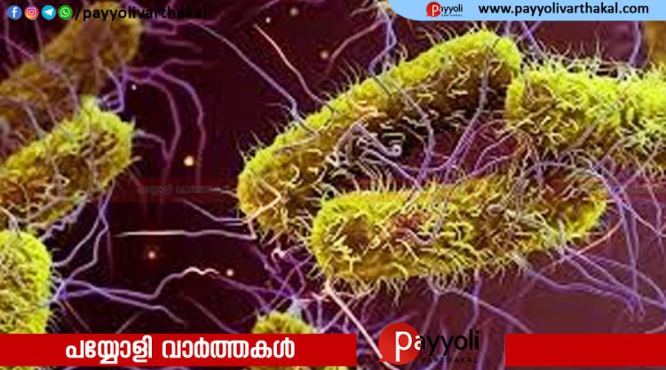 വീണ്ടും ഷിഗെല്ല; പയ്യോളിയില്‍ ഒമ്പതുവയസുകാരന് രോഗം സ്ഥിരീകരിച്ചു
