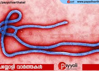 എബോള ആശങ്ക ഒഴിയുന്നു; സൗത്ത് സുഡാനില്‍ നിന്നെത്തിയ സ്ത്രീയുടെ പരിശോധനാഫലം നെഗറ്റീവ്