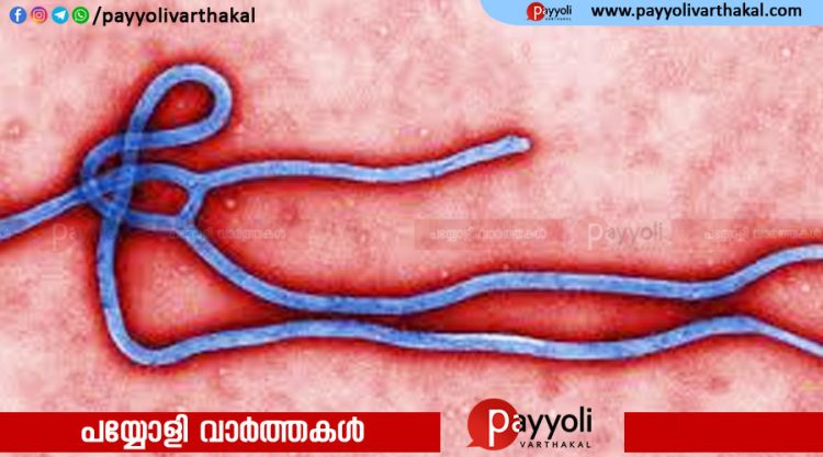 എബോള ആശങ്ക ഒഴിയുന്നു; സൗത്ത് സുഡാനില്‍ നിന്നെത്തിയ സ്ത്രീയുടെ പരിശോധനാഫലം നെഗറ്റീവ്