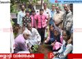 കെ എസ് എസ് പി യു ഇരിങ്ങൽ യൂണിറ്റ് പരിസ്ഥിതി ദിനം ആചരിച്ചു