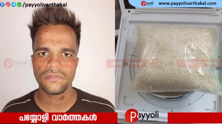 ‘നഗരങ്ങളിലെത്തി ലോഡ്ജുകളിൽ മുറിയെടുത്ത് താമസിച്ച് ആവശ്യക്കാരെ വിളിച്ചു വരുത്തും’: വില്പനയ്ക്കായി എത്തിച്ച എം ഡി എം എ യുമായി കാപ്പ പ്രതിയായ യുവാവ് പിടിയിൽ