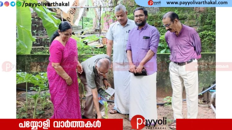 പയ്യോളി നഗരസഭ ഇരുപതാം ഡിവിഷനിൽ ഗ്രീനിംഗ് പയ്യോളിക്ക് തുടക്കം
