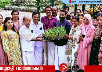 ‘തിക്കോടിയിലെ ഓണത്തിന് തിക്കോടിയിലെ പൂക്കൾ’: പൂക്കാലം പദ്ധതിയിൽ കർഷകർക്ക്  ചെണ്ടുമല്ലി തൈകൾ വിതരണം ചെയ്തു