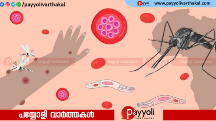 തിക്കോടിയിൽ യുവാവിന് മലേറിയ രോഗബാധ: പ്രതിരോധ പ്രവർത്തനങ്ങൾ ഊർജിതം