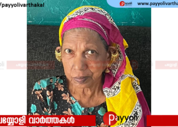 നന്തി താഴെ നരേക്കാട്ട് മറിയം അന്തരിച്ചു