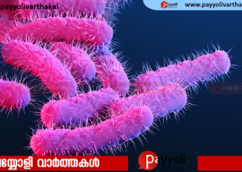 തിക്കോടിയിൽ ഷിഗല്ല രോഗബാധ റിപ്പോർട്ട് ചെയ്തു: യുവതി ചികിത്സയിൽ