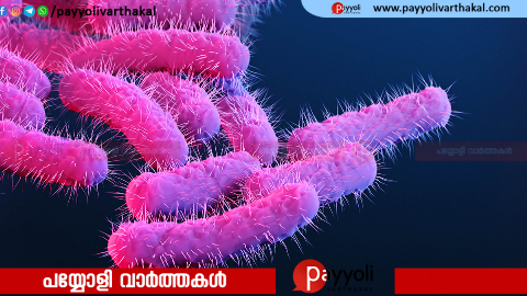 തിക്കോടിയിൽ ഷിഗല്ല രോഗബാധ റിപ്പോർട്ട് ചെയ്തു: യുവതി ചികിത്സയിൽ