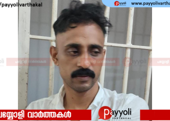 അരക്കോടിയിലേറെ രൂപ വിലമതിക്കുന്ന അതിമാരക രാസ ലഹരിയുമായി പിടികൂടിയ കേസ്: പ്രധാന പ്രതി പിടിയിൽ