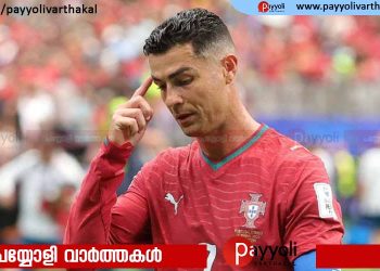 ‘ടീമാണ് ഗോൾ അടിക്കേണ്ടത്, നിങ്ങളല്ല…’; ക്രിസ്റ്റ്യാനോയെ വിമർശിച്ച് ഫ്രഞ്ച് ഇതിഹാസം