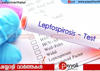 സംസ്ഥാനത്ത് എലിപ്പനി  ബാധിതരുടെ എണ്ണത്തിൽ വൻ വർധന;ഈ മാസം മാത്രം 186 പേർക്ക് രോഗം സ്ഥിരീകരിച്ചു, മൂന്ന് മരണം