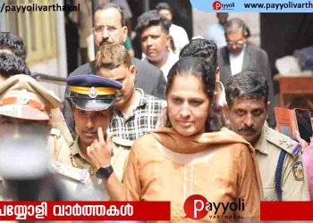 പി.പി ദിവ്യക്കെതിരായ അഴിമതിയാരോപണത്തിൽ വീണ്ടും വിജിലൻസ് അന്വേഷണത്തിന് നീക്കം