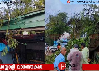 പേരാമ്പ്ര കൈതക്കലിൽ മരം കടപുഴകി വീണ് സ്‌കൂട്ടർ യാത്രികൻ മരിച്ചു