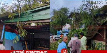 പേരാമ്പ്ര കൈതക്കലിൽ മരം കടപുഴകി വീണ് സ്‌കൂട്ടർ യാത്രികൻ മരിച്ചു