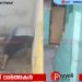 ലഹരിക്കടിമയായ ഭർത്താവിനെ കൊന്ന് ശൗചാലയത്തിൽ കുഴിച്ചിട്ട് യുവതി, ഒന്നര മാസത്തിന് ശേഷം വെളിപ്പെടുത്തൽ