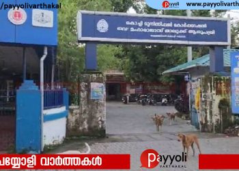 താലൂക്ക് ആശുപത്രി വരാന്തയിൽ സ്ത്രീയ്ക്ക് നായയുടെ കടിയേറ്റു