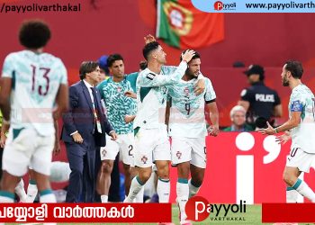 അടി തിരിച്ചടി…,ക്രൊയേഷ്യയെ കീഴടക്കി പോർച്ചുഗൽ പ്രീ-ക്വാർട്ടറിലേക്ക്