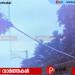 അഴിയൂരിൽ കവുങ്ങ് കടപുഴകി വീണു: റെയിൽ ഗതാഗതം സ്തംഭിച്ചു