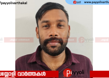 വില്പനയ്ക്കെത്തിച്ച കഞ്ചാവുമായി യുവാവ് പിടിയിൽ