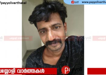 നിരവധി കേസുകളിൽ പ്രതി, പിടിച്ചുപറിയും അക്രമവും പതിവ് രീതി: ബസ്സില്‍ പേഴ്സ് കവർന്ന പ്രതി പിടിയിലായി